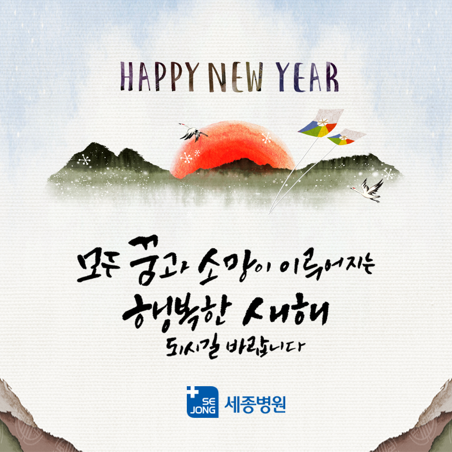 메디플렉스 세종병원_신년_본원.jpg