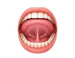 단설소대